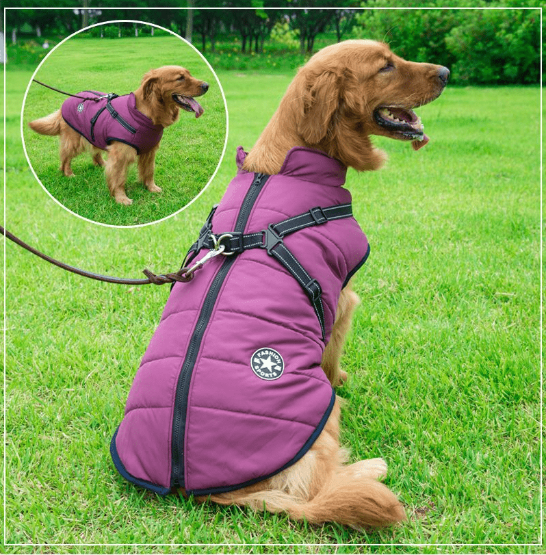 Vips Waterproof Vest - Muttly™