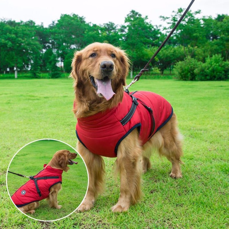 Vips Waterproof Vest - Muttly™