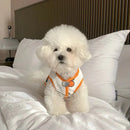 Colete Pet - Lupzy™