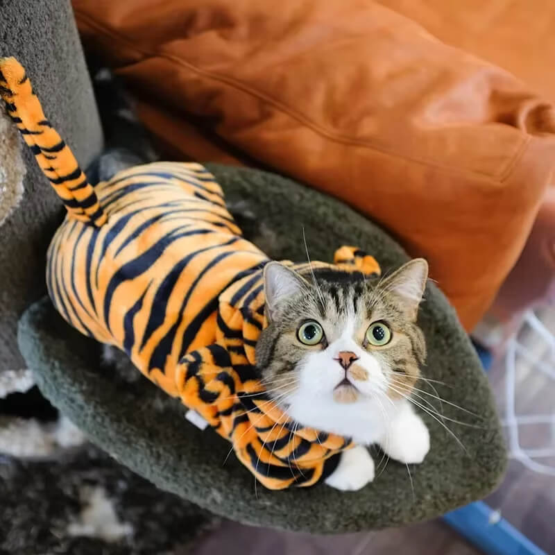 Pet Costumes - Pawzly™ 