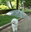 Guia com Guarda-chuva Tour - Barkify™