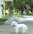 Guia com Guarda-chuva Tour - Barkify™