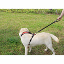 Flexo Guide - Snouty™