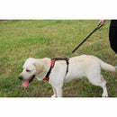 Flexo Guide - Snouty™