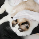 Moistened Glove with Vitamin E – Dry Bath and Hydrated Skin ForPatas™ 