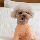 Cotton Jumpsuit - Furrish™ 