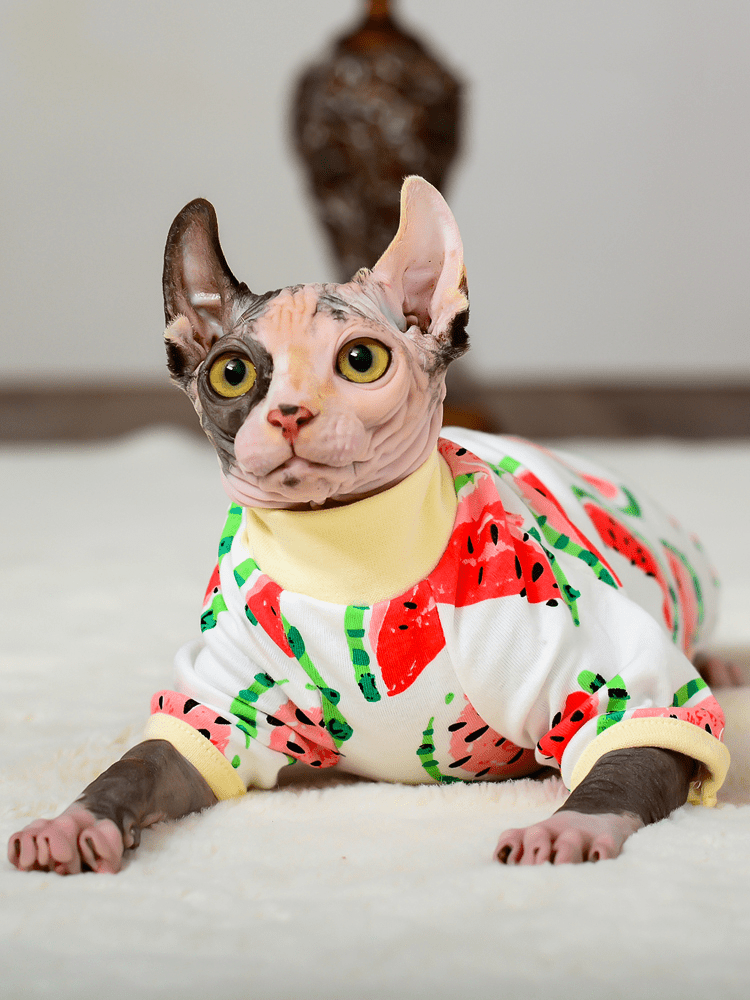 Cat Jumpsuit - Snouty™ 
