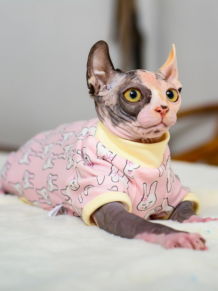 Cat Jumpsuit - Snouty™ 