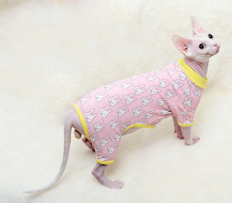 Cat Jumpsuit - Snouty™ 