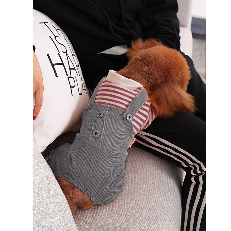 Pet Onesie - Pawzly™ 