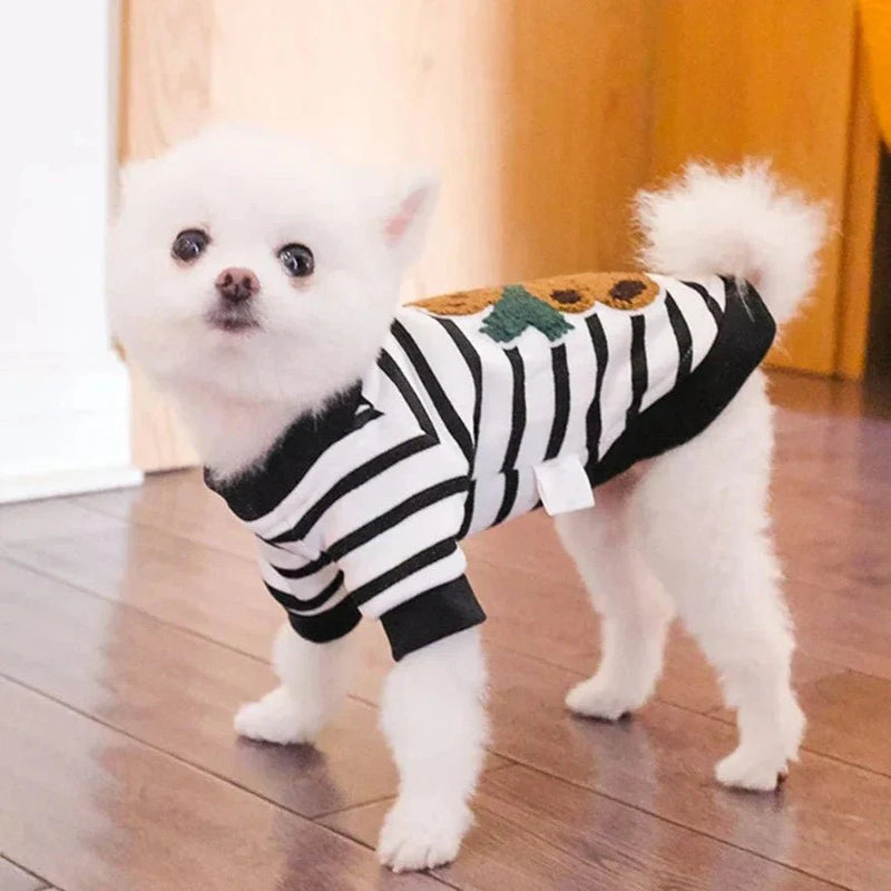 Apollo Sweatshirt - Duty™ 