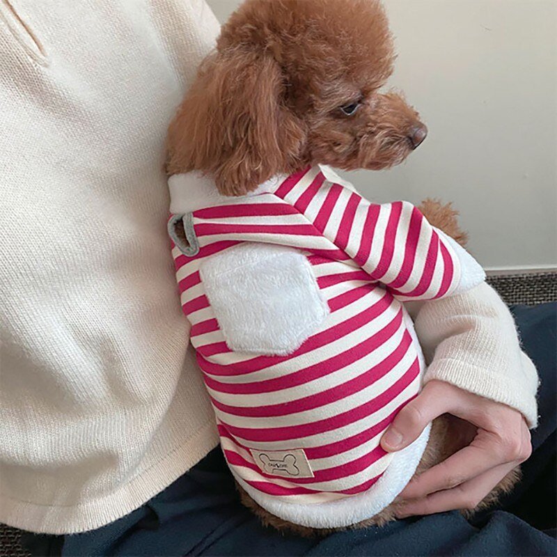 Santa Claus Sweatshirt with Scarf - Petzo™ 