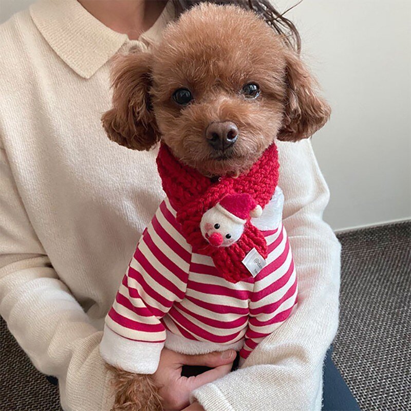 Santa Claus Sweatshirt with Scarf - Petzo™ 