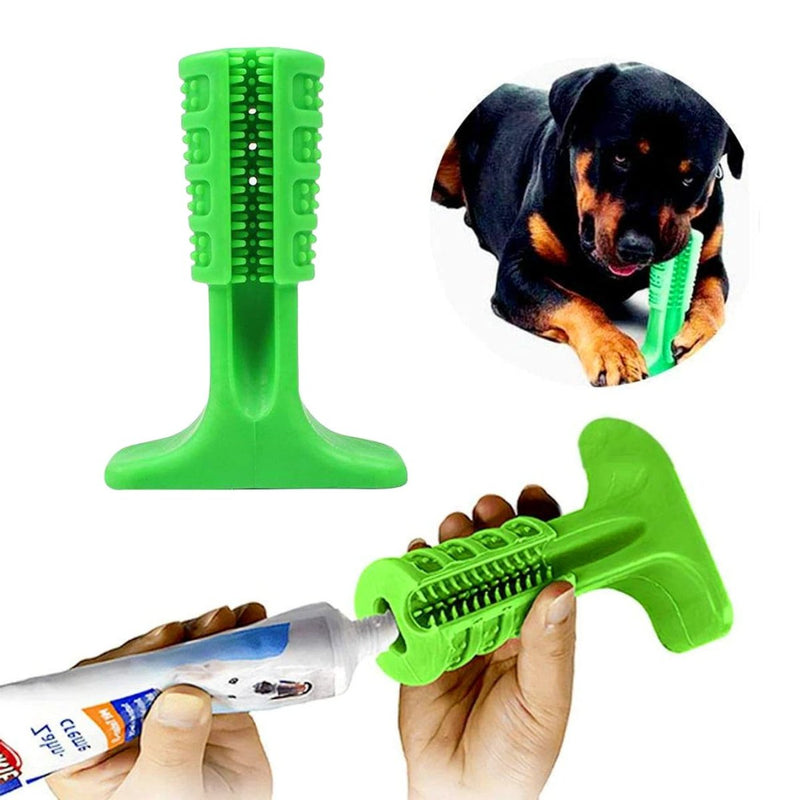 Mordedor Escova de Dentes para Cão  - Petzo™