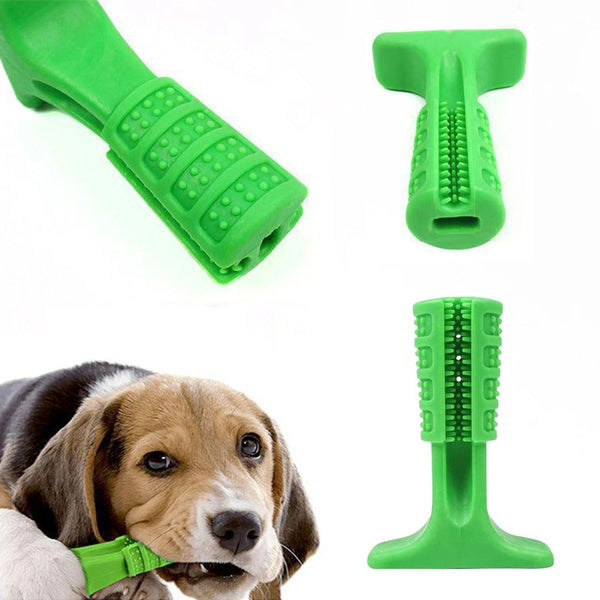 Dog Toothbrush Chew Toy - Petzo™ 