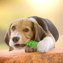 Dog Chew Toy - Muttly™ 