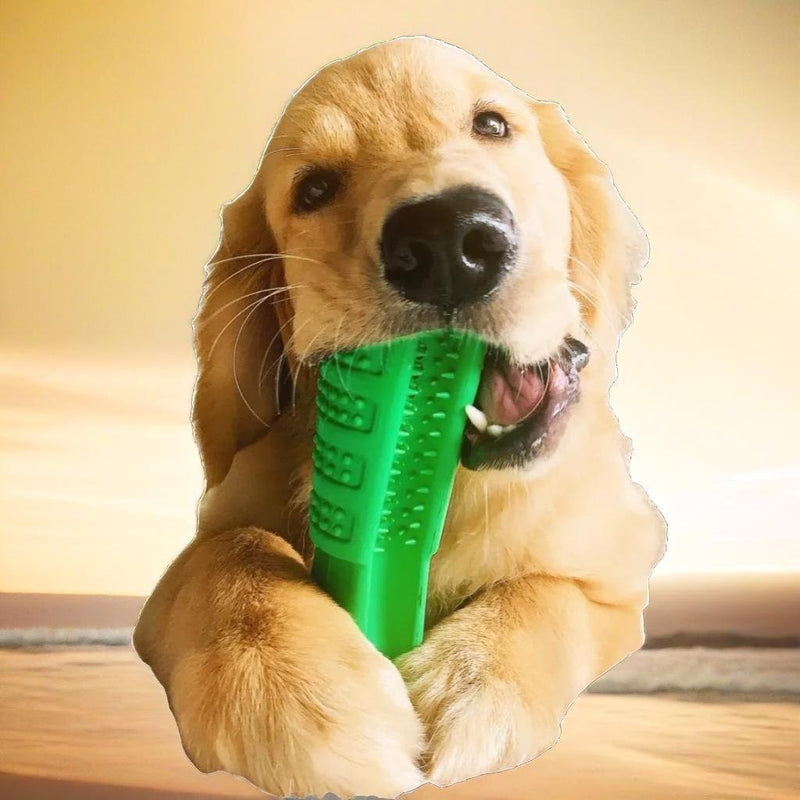 Dog Chew Toy - Muttly™ 