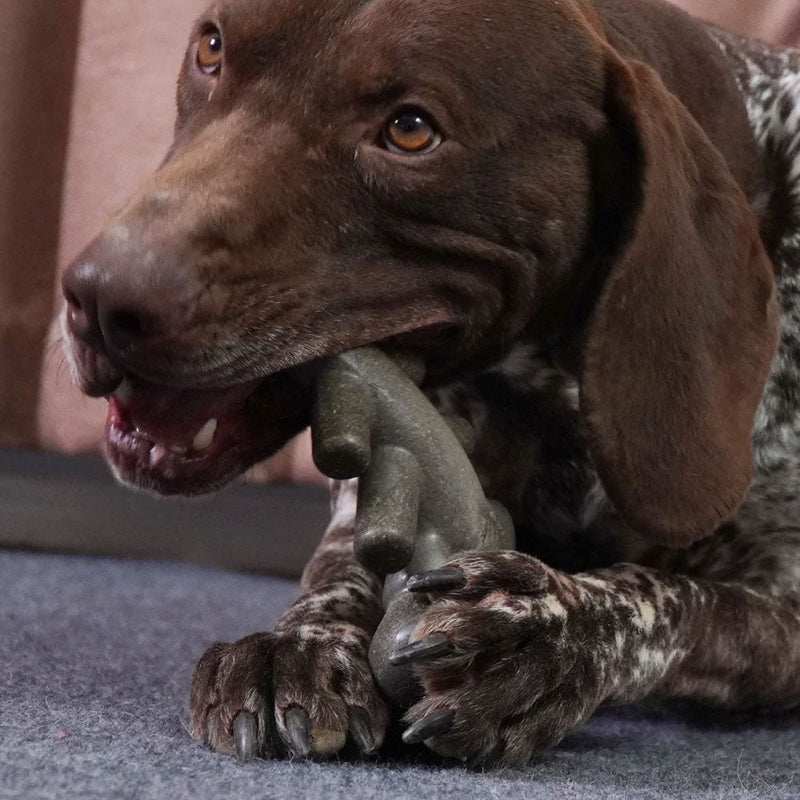 Mordedor Pet Lagosta Ultra Resistente - Woofline™