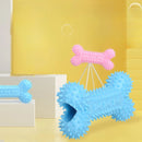 Kit Mordedor Porta Petisco Ossinho para Filhote - Snouty™