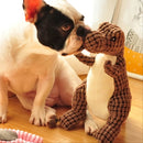 Pelúcia Dino Super Resistente - Pawzly™