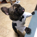 Elegant Suit-Style Pet Clothing - Barkify™ 