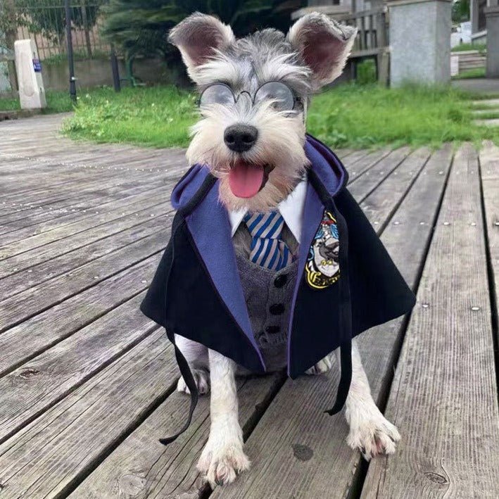 Harry Potter Pet Costume - Duty™ 