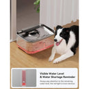 Newpet 12L Stainless Steel Water Fountain for Dogs and Cats – Large Capacity and Extra Filter | ForPatas 