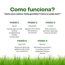 Natural Grass for Cats – Well-being, stimulation and stress relief 