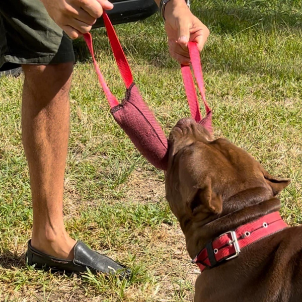 Super Strong Pillow Chew Toy for Large Breed Dogs – Dogvix™ | Training and Fun