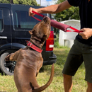 Mordedor Pillow Super Forte para Cães de Grande Porte – Dogvix™ | Treinamento e Diversão