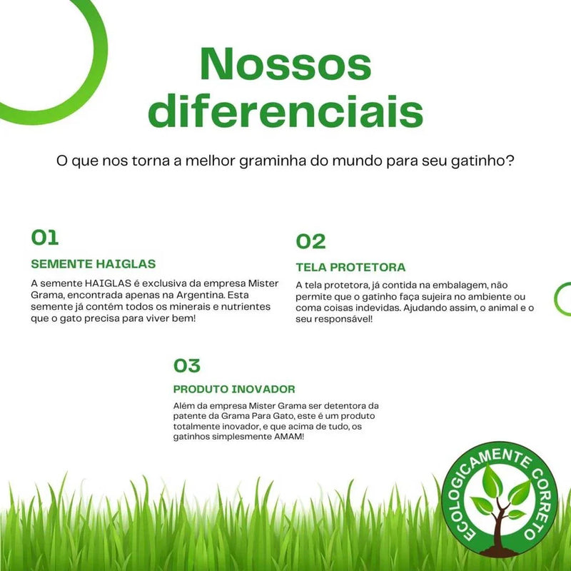 Natural Grass for Cats – Well-being, stimulation and stress relief 