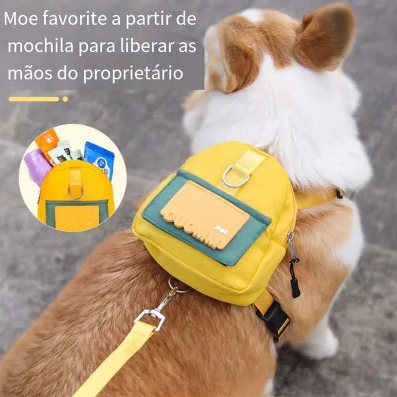 Waterproof Pet Backpack with Leash – PETC™ | For Small and Medium-Sized Dogs 