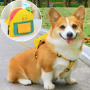 Waterproof Pet Backpack with Leash – PETC™ | For Small and Medium-Sized Dogs 