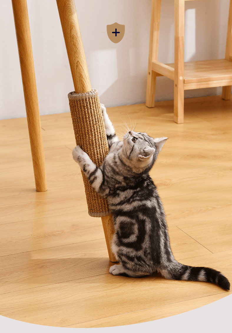 Tapete Arranhador - Furrish™