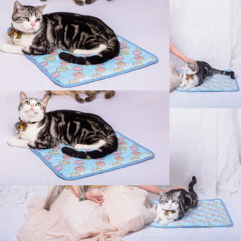 Ice Pet Cooling Mat - Pawzly™ 