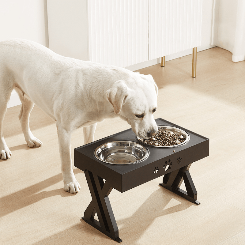 Adjustable 3-Height Bowl - Pawzly™ 