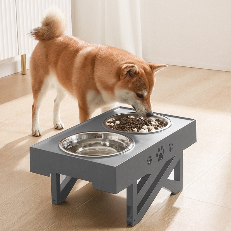 Adjustable 3-Height Bowl - Pawzly™ 