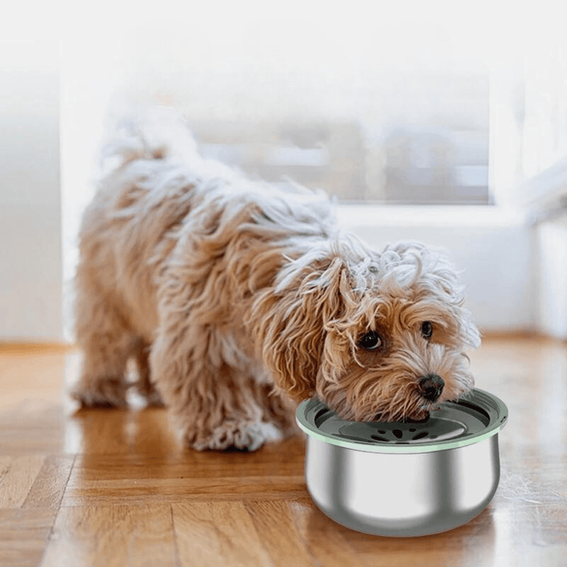 Stainless Steel Anti-Splash Bowl 4L - Lupzy™ 